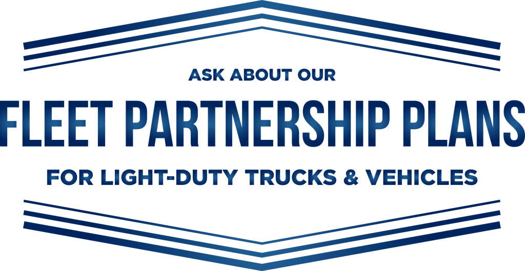 Light-Duty Fleet Partnership Plans